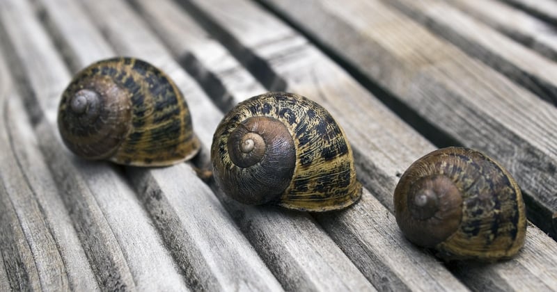 Signs of a Cooling Housing Market and What They Mean